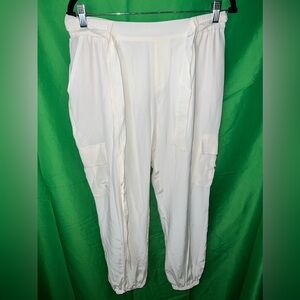 Joie 100% Silk Pants size large NWT